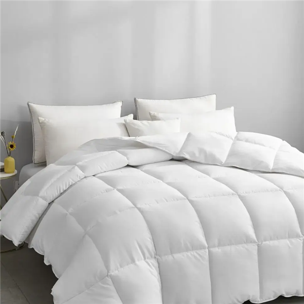 Comforter Duvet