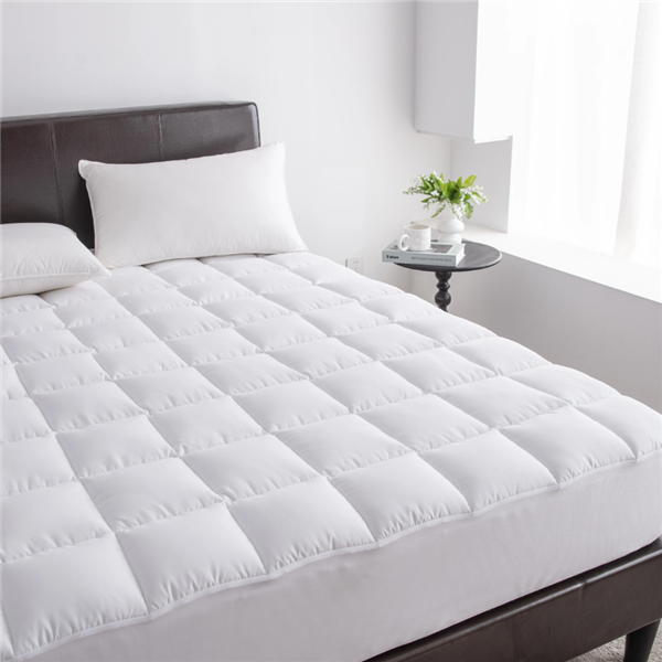 Mattress Protector